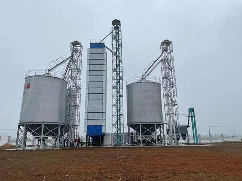 河南中瑞糧油機(jī)械詳述 面粉加工工藝流程與關(guān)鍵設(shè)備解析，兼論石化電力設(shè)備聯(lián)動(dòng)