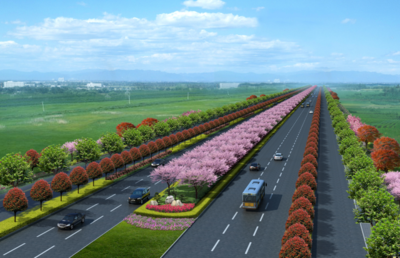 新機場大道景觀綠化工程正式開工，打造城市生態迎賓新走廊