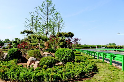 抓住契機廣添綠，綠色商河譜新篇